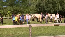 Lovastábor a Kárpátaljai Magyar Nagycsaládosok Egyesülete szervezésében - Nyeregbe, gyerek!  Fotó: Kárpátinfo/Kósa Eszter