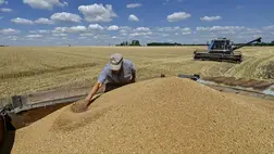 Irán nyíltan vásárol a lopott gabonából, más országok csak fű alatt / Fotó:  AFP