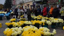 Halottak napja: A csúcsra járatás időszakához érkezett a krizantémvásár - Kisebb kínálat, változatlan árak. Fotó: Kárpátinfó/ Kovács Elemér