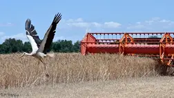 Ukrán termőföld: nem mindegy, hogy hol helyezkedik el / Fotó: AFP