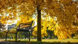 A jövő héten csendes, őszi idő várható, több-kevesebb napsütéssel. Illusztráció. (Fotó: MTI/Czeglédi Zsolt)