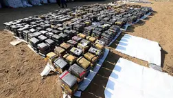 A holland hatóságok banánszállítmányba rejtett rekordmennyiségű kokaint foglaltak le