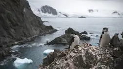 Még az Antarktiszon is rendkívül hosszú hőhullámot észleltek a mostani déli féltekei télben