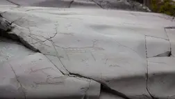 Monumentális ősi sziklarajzokat tártak fel Venezuelában és Kolumbiában