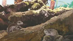 Cynodontok: Döbbenetes felfedezés az emlősök evolúciójában 