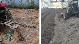 A fóliaházak talajainak javítása, termőképességének megőrzése, növelése