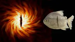 Megtalálták a valódi Sauront, egy brazil folyóban él 