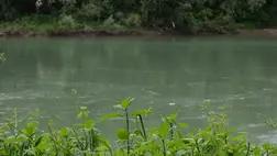 Egy 23 éves ukrán férfi holttestére bukkantak a Tisza partján a magyar határőrök. Fotó: Ukrán Állami Határőrszolgálat