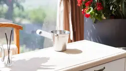 Ezt tedd az ablakod mellé, hogy tisztább legyen a szoba levegője