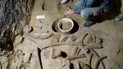 Óriási döbbenet, mamutcsontot találtak egy pince felújításakor Ausztriában 