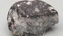 Négy és fél milliárd éves a Berlin mellett talált záptojásszagú meteorit 