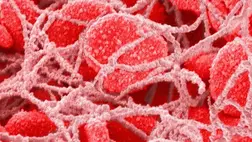 Hátborzongató felfedezés: rengeteg mikroműanyag van a vérünkben 