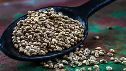 A tudomány igazolta: 14 fajta rák ellen védhet ez a jól ismert tápanyag 