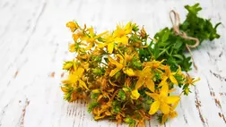 A közönséges orbáncfű: megnyugtat és javítja a hangulatodat 