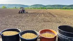 Jelenlegi írásunkban a szója vetése körüli hasznos információkat fogjuk összefoglalni.