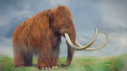 Megütötte a főnyereményt az amerikai búvár – a tudósok sem láttak még hasonlót