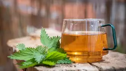 Serkentik az emésztést, gyorsítják a méregtelenítést