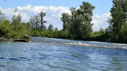 Már a tizedik holttestet találták meg a Tiszában májusban. Fotó: Ukrán Állami Határőrszolgálat