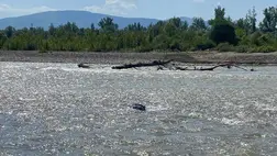 Újabb holttestet fedeztek fel a határőrök a Tisza folyóban. Illusztráció. Fotó: Ukrán Állami Határőrszolgálat
