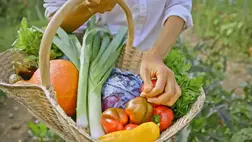 Szinte minden betegségre jó: csodatévő vegyületek vannak ebben a zöldségben 