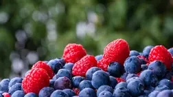 A kárpátaljai mezőgazdasági termelők támogatást kaphatnak aggregációs modellekre