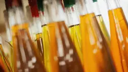 Álmaiban sem gondolná: hihetetlen hatásai vannak ennek az élelmiszernek