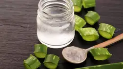 Aloe vera: kívül-belül gyógyír