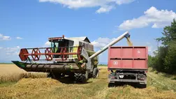 Aratás 2025. Még tart a búza betakarítása, megkezdődött a tarlóhántás - Magas áron veszik a terményt. Fotó: Kárpátinfó/ Kovács Elemér
