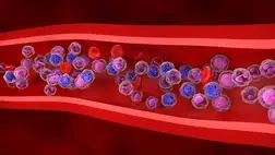 Áttörés a rák gyógyításában: magyar kutatók jöttek rá – így növelhető jelentősen a túlélés esélye. Fotó: Science Photo Library via AFP