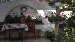 Az öntözést meghálálják növényeink. Fotó: Kárpátinfó/ Kovács Elemér