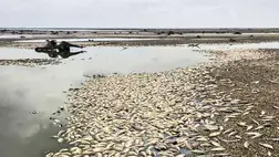 Az Oroszország által Ukrajnának okozott környezeti károk értéke már elérte a 94 milliárd dollárt. Illusztráció. Fotó: Internet