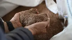 Befektetési tereppé vált az ukrán földpiac / Fotó: AFP