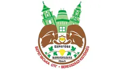 Beregszászi kistérség