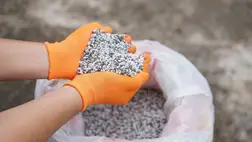 A biológiai termésnövelők forgalma még csak töredékét éri el a műtrágyáéknak / Fotó: Shutterstock