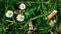 Az eldobott cigicsikkekből akár útburkolat is készülhet 