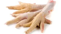 Az ukrán posta korábban csirkelábat használt a kutyatámadások elkerülésére – mára modernebb eszközökre váltottak. Fotó: illusztráció / Internet