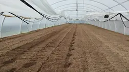 A fűtetlen fóliasátrak szezonális (áprilisi) munkálatairól 