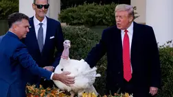 Donald Trump elnöki kegyelmet adott két pulykának követve a Hálaadáshoz kapcsolódó hagyományt.. Fotó:MTI/Michael Reynolds