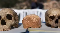  Egy őskori emberi koponyatető a modern ember és egy neandervölgyi ember koponyája között (Fotó: MTI/EPA/Jim Hollander)