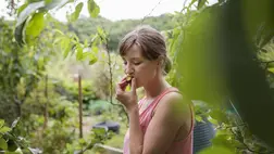 Ez a gyümölcs a szív- és az agyműködést is támogatja