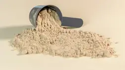 A fehérjeporok világa 