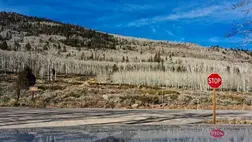 Kiderült, melyik a Föld legöregebb élőlénye 