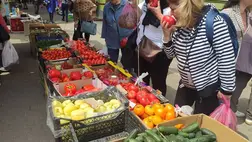 Fóliás zöldségtermesztés – 2025 - Hozamok, árak, kilátások. Fotó: Kárpátinfó/ Kovács Elemér