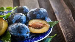 Gátolja a szénhidrátéhséget, védi a májat és a vesét