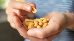 A halálos mogyoróallergia megelőzhető lehet egy egyszerű, új módszerrel 