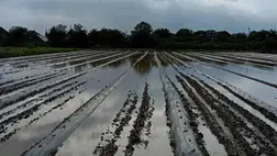 Hatékonyan csak megelőzni lehet!!! - A magas talajvíz (belvíz) elleni védekezésről