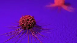 Hihetetlen felfedezés: ezzel jelentősen csökkentheti a ráksejtek szaporodását