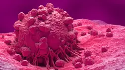 Megtalálhatták a bőrrák ellenszerét: ha ezt a vitamint szedi, védve lehet. Illusztráció. Fotó: Internet