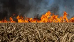 A háború miatt bekövetkezett környezeti károk értéke több tízmillió dollárra rúg