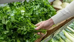 Íme, a legerősebb vízhajtók, amik gyorsan megszabadítanak a testen felgyűlt víztől